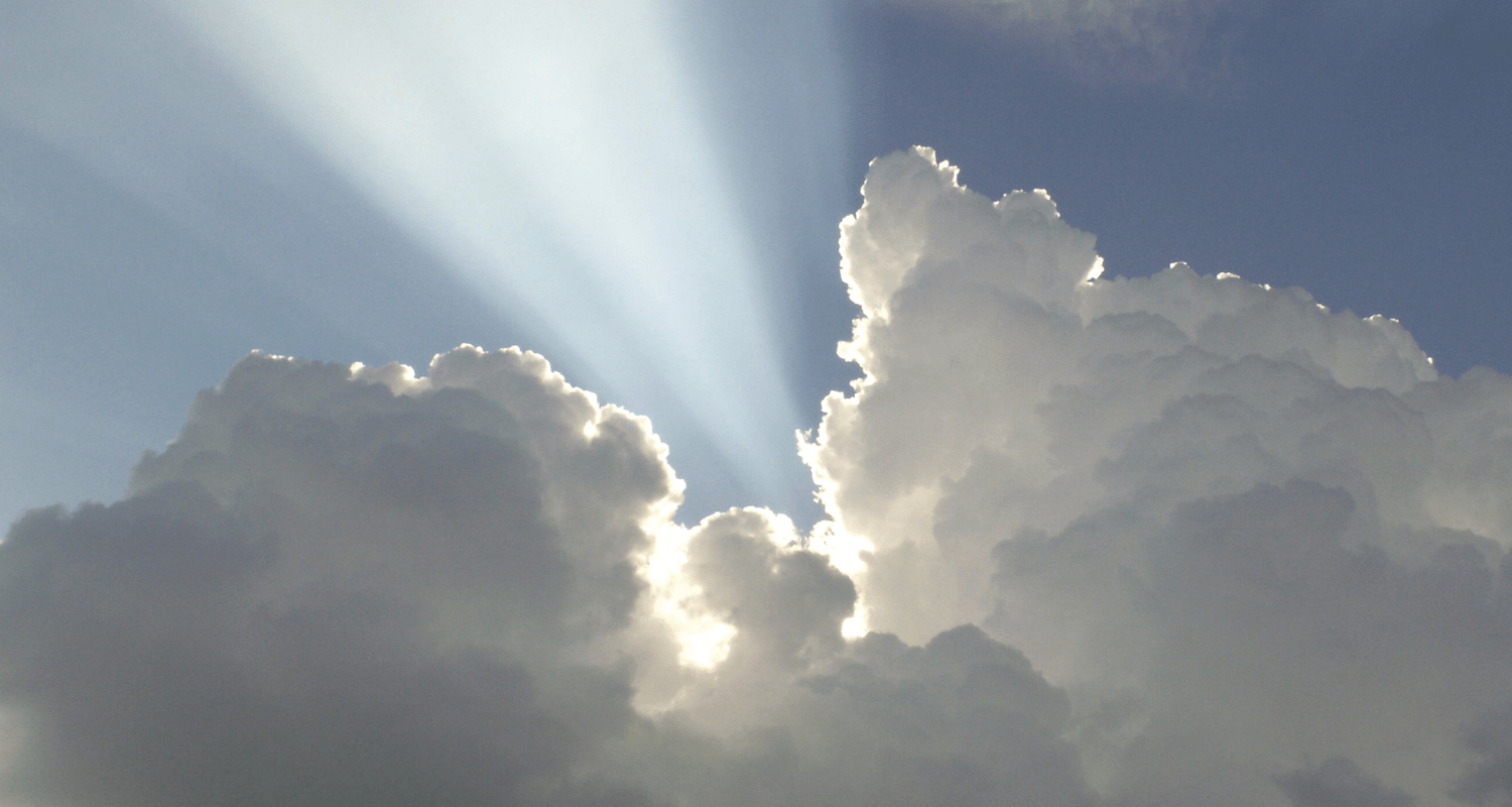 5 raisons pour lesquelles vous devriez passer sur S/4Hana