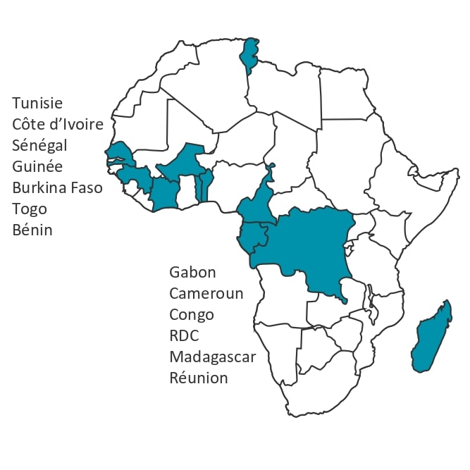 Carte continent africain Conseils-Plus